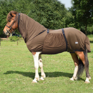 QHP Eczeemdeken Icelandic | Minihorseshop